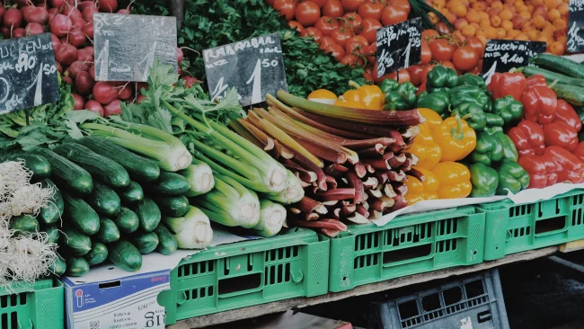 Teste de Ferramenta de IA Visa o Desperdício de Alimentos no Reino Unido, Milhões de Refeições Poderiam Ser Salvas