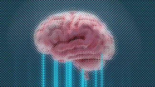 A Neuralink garante $650 milh&otilde;es em rodada de financiamento da S&eacute;rie E