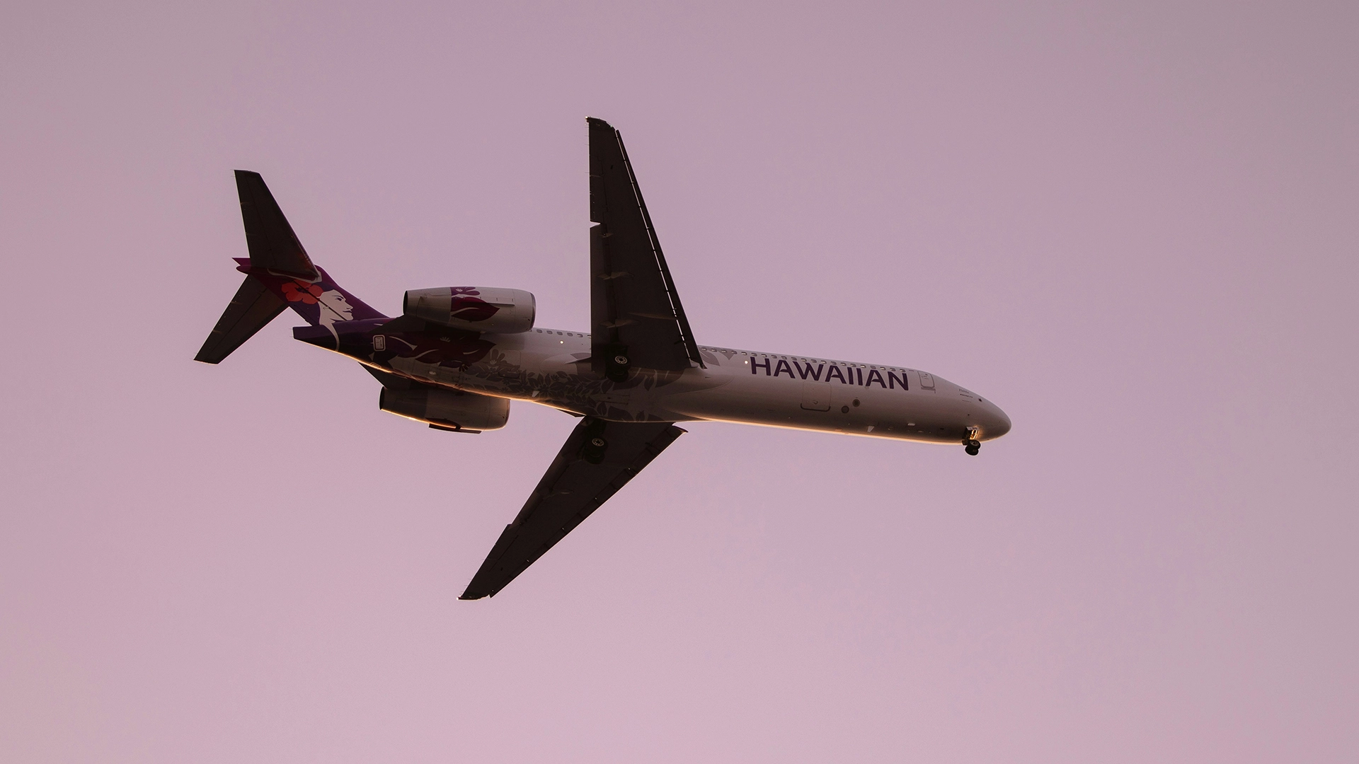 A Hawaiian Airlines Anuncia Que Foi Vítima de Um Ataque Cibernético