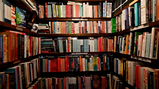 Anthropic Ganha Decis&atilde;o Chave em Processo de Direitos Autorais, Mas Enfrenta Julgamento por Livros Pirateados