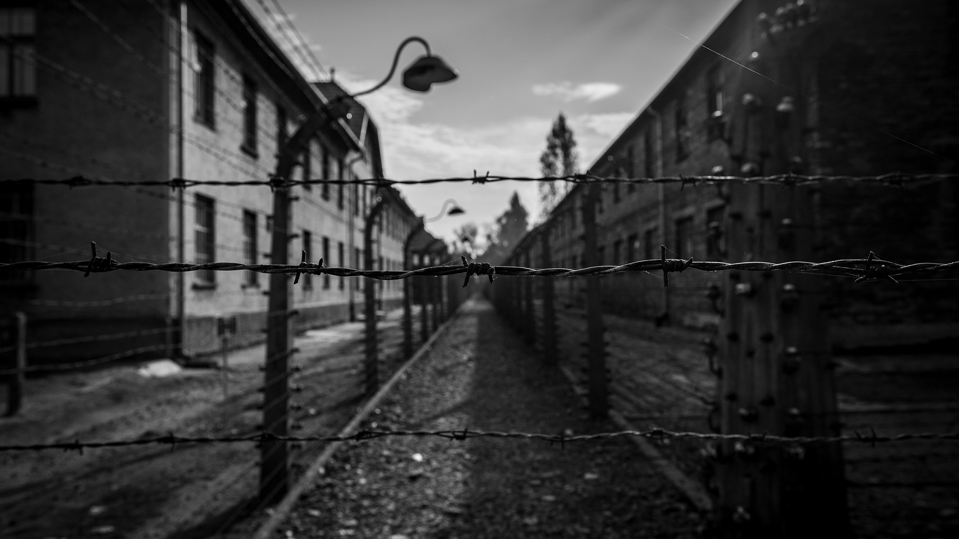 A BBC Revela Golpe de Imagem do Holocausto com IA no Facebook